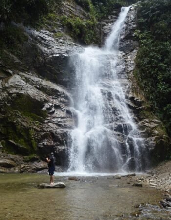 Podocarpus National Park